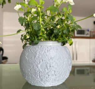 Moon Plant Pot 2